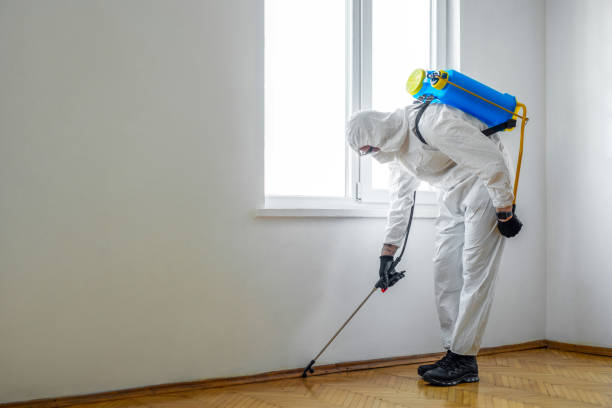 Best Exterminator Services  in Maxton, NC