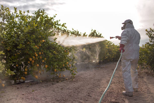 Best Exterminator Services  in Maxton, NC