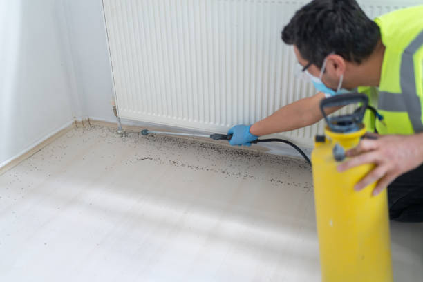 Best Pest Inspection Near Me  in Maxton, NC