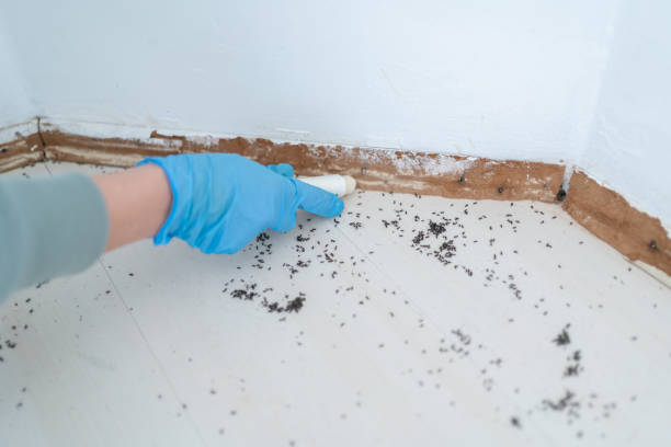 Best Pest Prevention Services  in Maxton, NC
